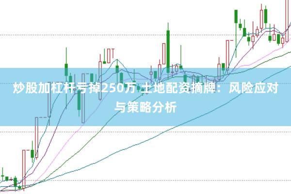 炒股加杠杆亏掉250万 土地配资摘牌：风险应对与策略分析