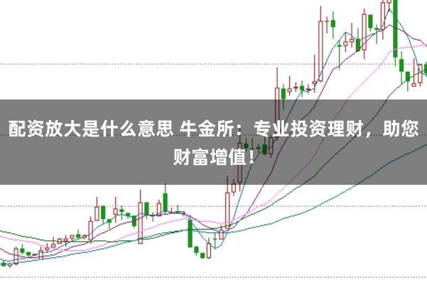 配资放大是什么意思 牛金所：专业投资理财，助您财富增值！