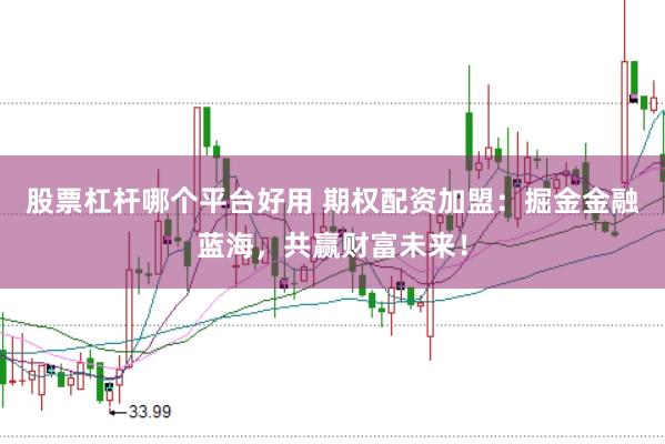 股票杠杆哪个平台好用 期权配资加盟：掘金金融蓝海，共赢财富未来！