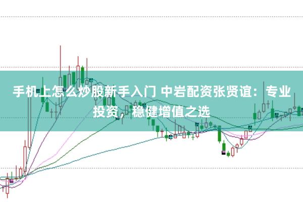 手机上怎么炒股新手入门 中岩配资张贤谊:专业投资,稳健增值之选
