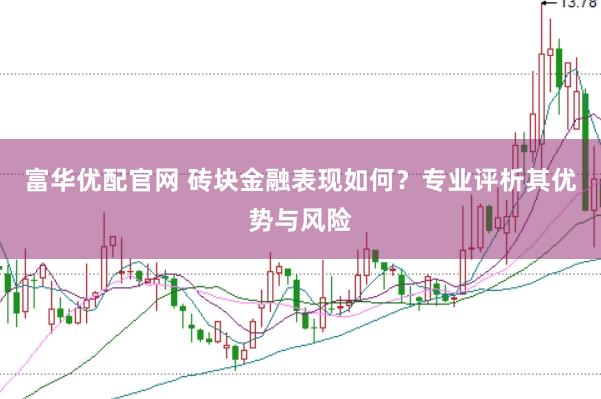 富华优配官网 砖块金融表现如何？专业评析其优势与风险