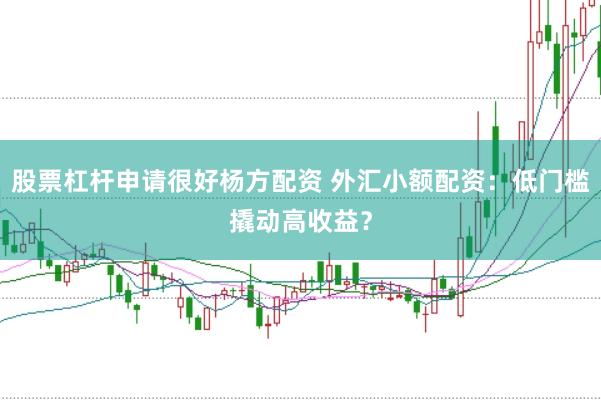 股票杠杆申请很好杨方配资 外汇小额配资：低门槛撬动高收益？