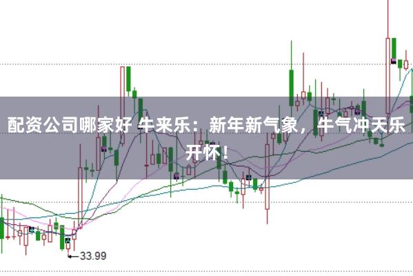 配资公司哪家好 牛来乐：新年新气象，牛气冲天乐开怀！
