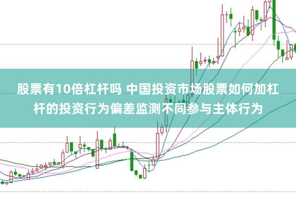 股票有10倍杠杆吗 中国投资市场股票如何加杠杆的投资行为偏差监测不同参与主体行为