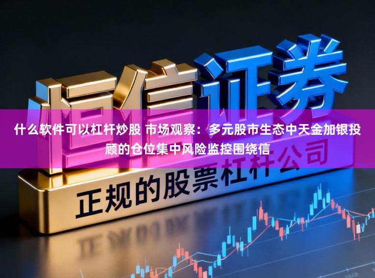 什么软件可以杠杆炒股 市场观察：多元股市生态中天金加银投顾的仓位集中风险监控围绕信