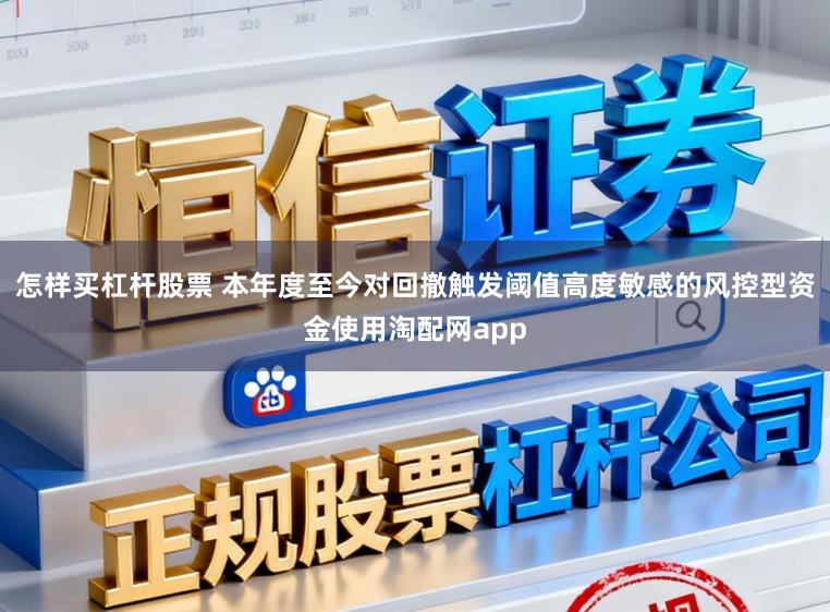 怎样买杠杆股票 本年度至今对回撤触发阈值高度敏感的风控型资金使用淘配网app