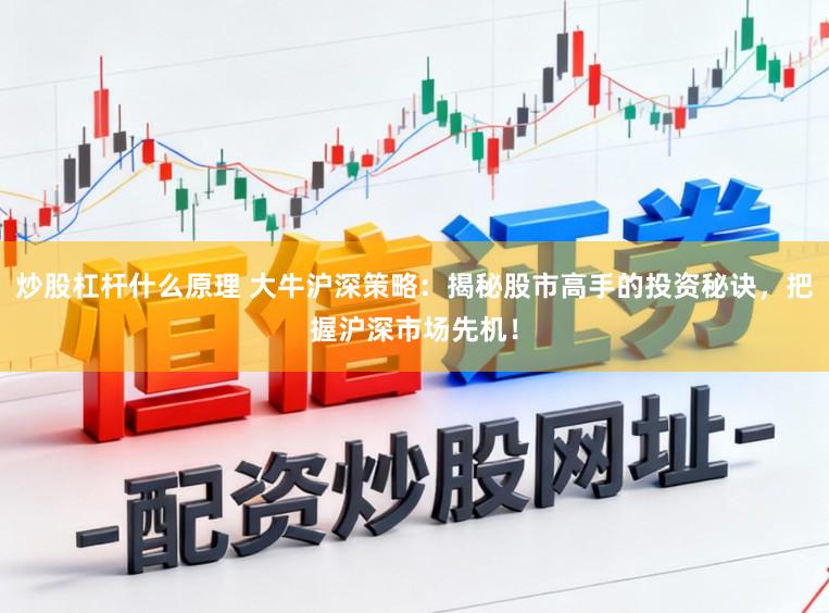 炒股杠杆什么原理 大牛沪深策略：揭秘股市高手的投资秘诀，把握沪深市场先机！