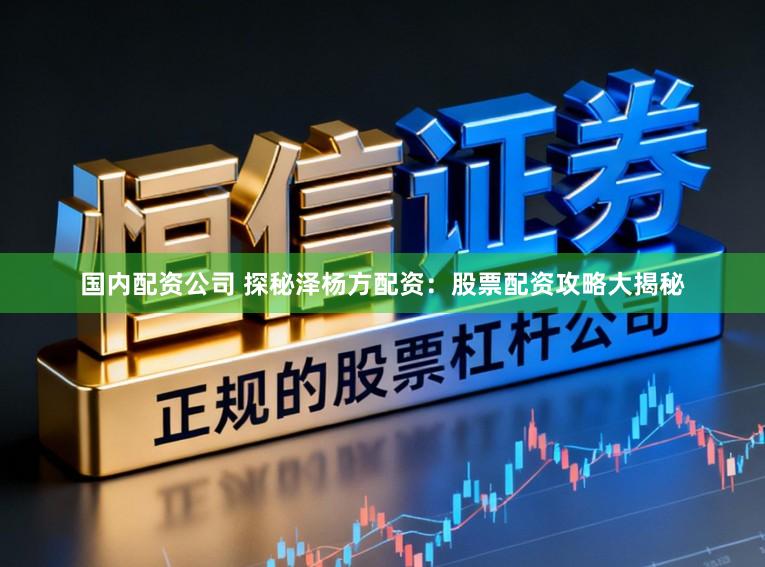 国内配资公司 探秘泽杨方配资：股票配资攻略大揭秘